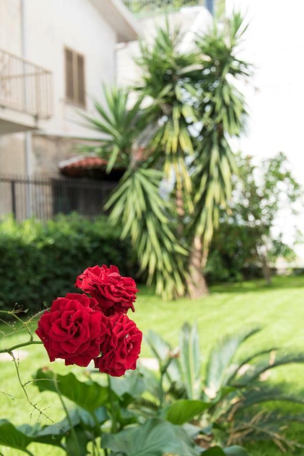 L'Oasi Di Giorgia Bed and Breakfast Cittadella del Capo Exteriör bild